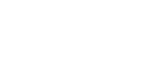 Institutional partner logo