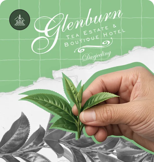 Glenburn Business Immersion
